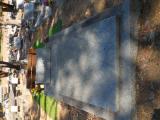 image of grave number 968528